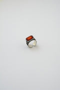 Anello con Angelo - luxdei.it
